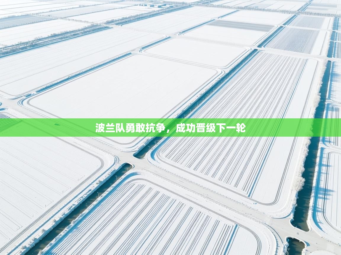 波兰队勇敢抗争,成功晋级下一轮 第1张