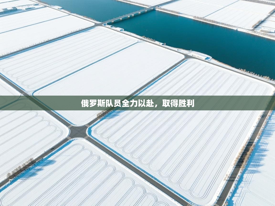 俄罗斯队员全力以赴,取得胜利 第2张