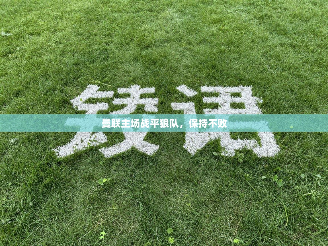 曼联主场战平狼队，保持不败  第2张