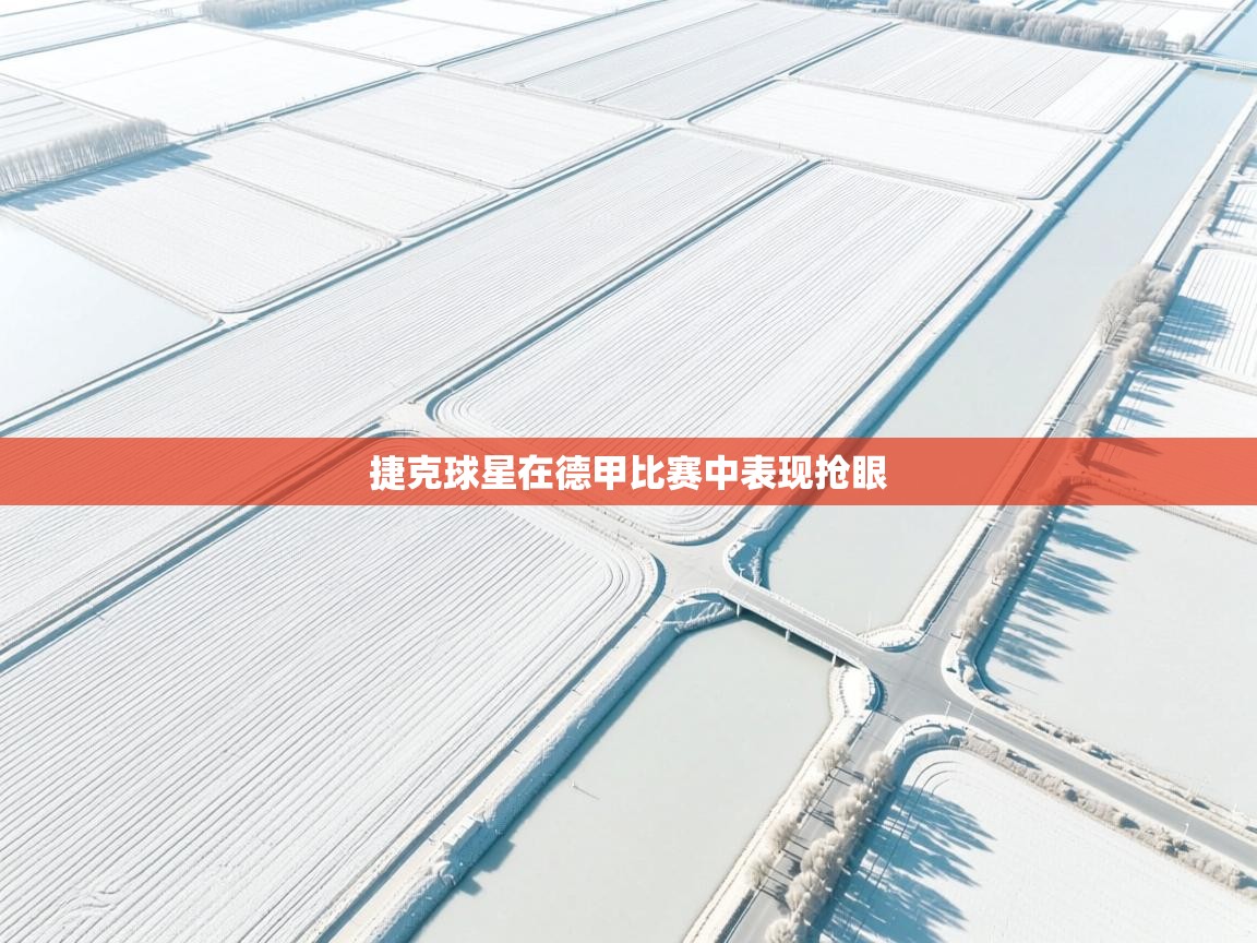 捷克球星在德甲比赛中表现抢眼