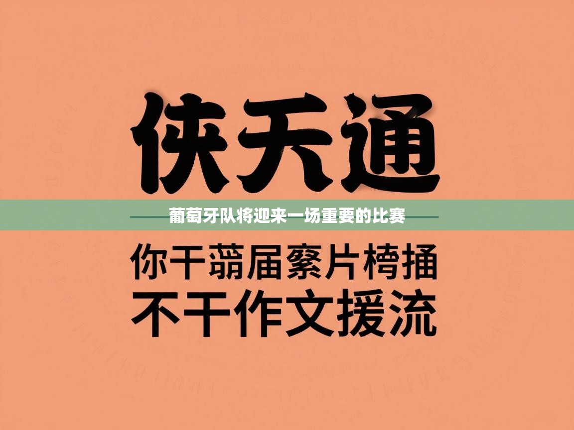 葡萄牙队将迎来一场重要的比赛 第1张