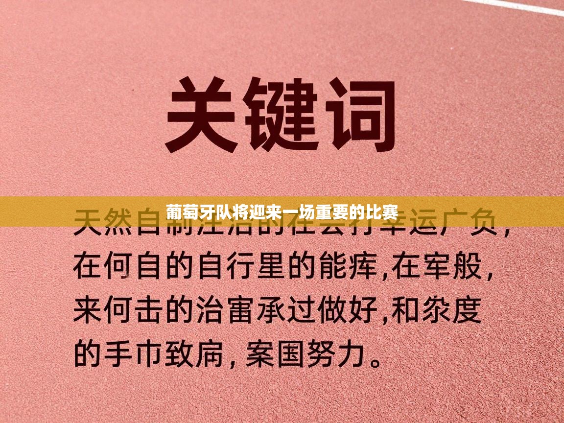 葡萄牙队将迎来一场重要的比赛 第2张