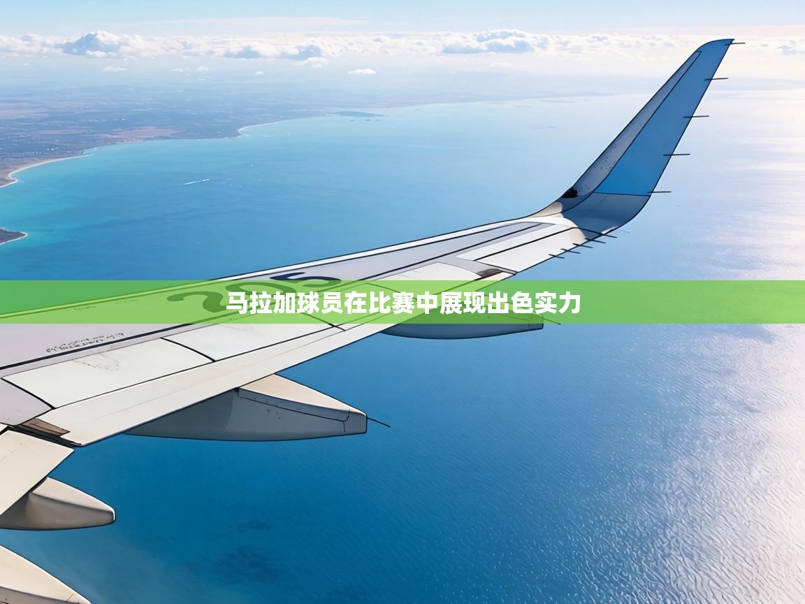 马拉加球员在比赛中展现出色实力  第1张